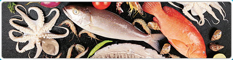 Over 3 Decades of Seafood Experience
