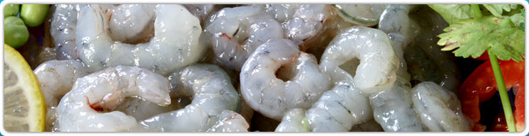 Over 3 Decades of Seafood Experience